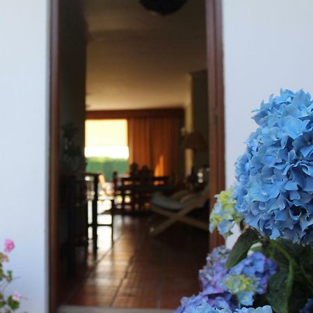 River-Side Villa ヴィラ・ノーヴァ・デ・セルヴェイラ エクステリア 写真